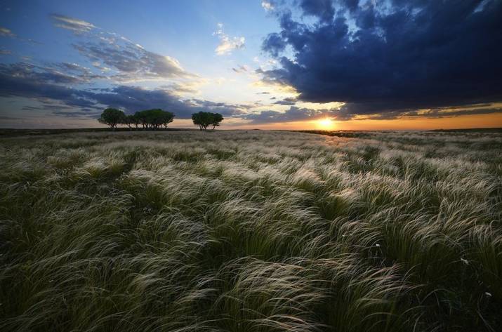 Историк развеял один из главных мифов о Луганской области