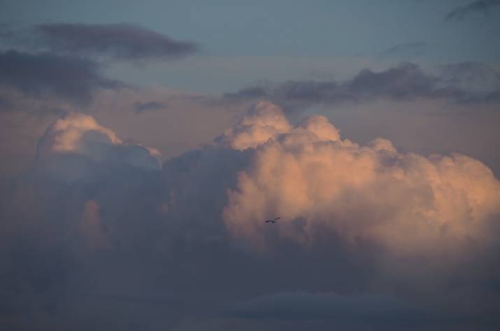 Какая погода будет на выходных в Луганской области