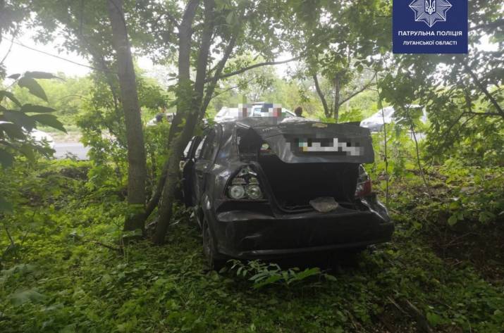 В Лисичанске автомобиль въехал в дерево (фото)