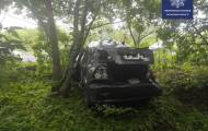 В Лисичанске автомобиль въехал в дерево (фото)