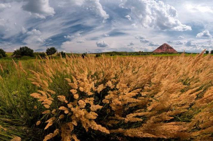 Майбутнє Східної України: зустріч у форматі “запитання та відповіді”