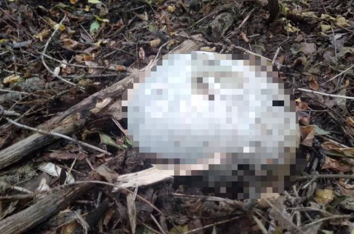 В Северодонецке раскрыли резонансное преступление 20-летней давности 