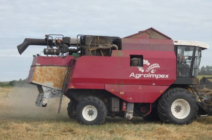 В Луганской области захватили фермерские земли