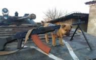 собака на войне