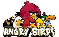 angry birds
