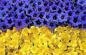 день независимости