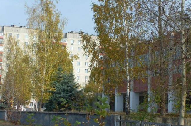 лицей Рубежное