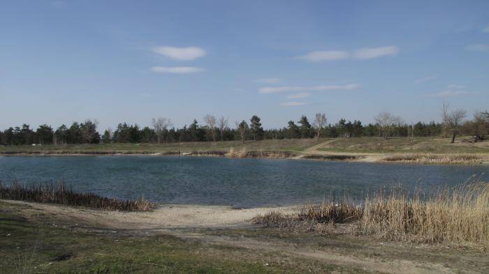 парковое озеро