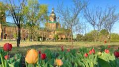 Сєвєродонецьк квітень 2024 рік