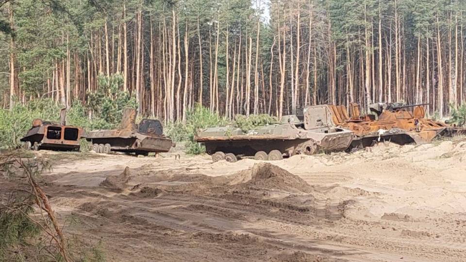 ліс Луганщина
