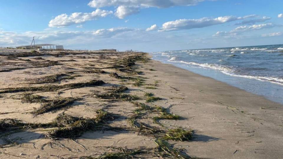 Азовське море