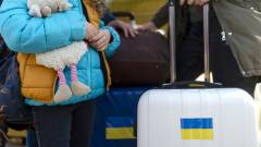 біженці впо переселенці дитина україна