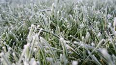 заморозки трава мороз