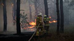 "МНС ЛНР", пожежа ЛНР