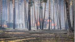 Харківщина пожежа