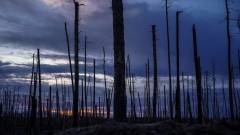 серебрянський ліс азов кремінна