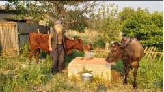 дідусь, евакуація