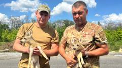 поліцейські правоохоронці