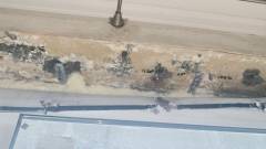 пліснява у квартирі