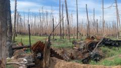 ліс війна Луганщина Луганська область