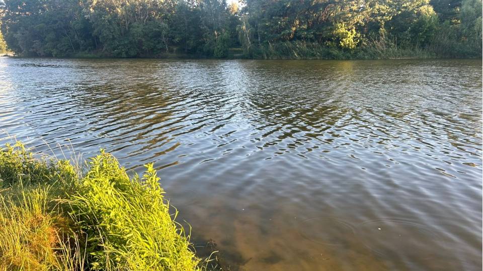 Журавлівське водосховище Харків