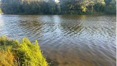 Журавлівське водосховище Харків