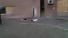 Самогубство