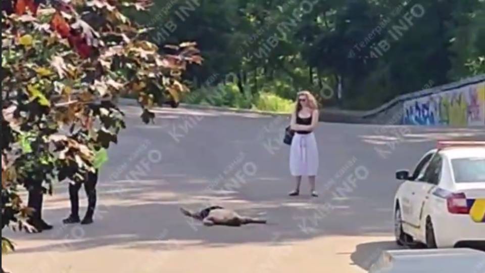 упав з моста, загиблий чоловік