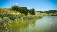 ставок водойма озеро річка київщина