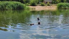 Стахановський ставок