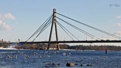 північний міст київ