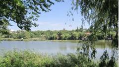 Черепашачий ставок у Донецьку