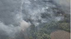 Ліс, Харківщина, Балаклія