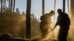 Ліс Кремінна війна Азов