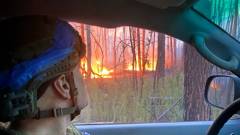 Серебрянський ліс, серпень 2024