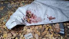 З’явилися подробиці детонації вибухівки, яку знайшли діти поблизу окупованого Донецька