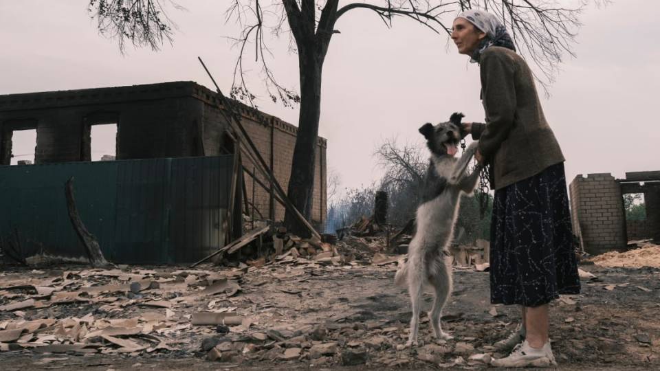 Студенок