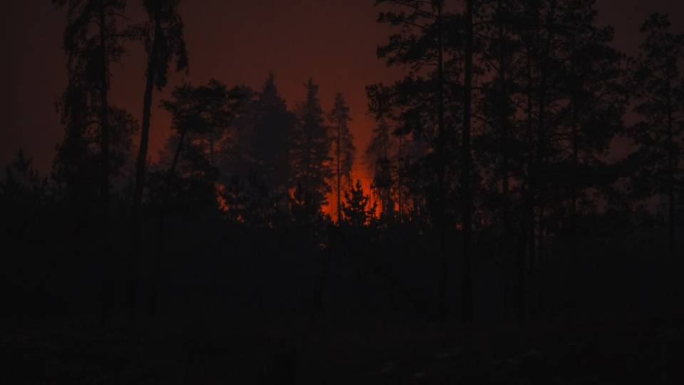 Лісові пожежі