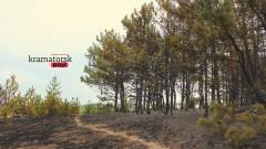 пожежа в Краматорську, горіли дерева на Білянських горах