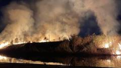 пожежа в найбільшому парку Маріуполя