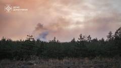 лиманські ліси лиман донеччина пожежа ліс вогонь