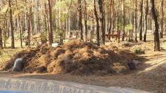 смітник у Старобільську