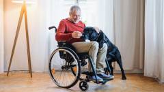 пенсія по інвалідності