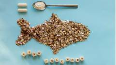 риб'ячий колаген