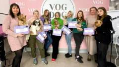 Обучение грумингу онлайн