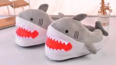 Тапочки акулы