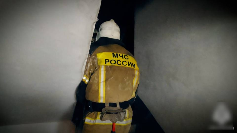пожежа на Луганщині, окупаційні "пожежники" мнс лнр