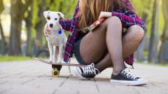 бруківка дівчина на скейті