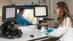 науковці дослідження