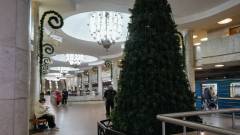 Ялинка харків